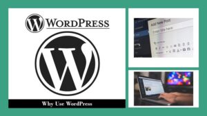 Read more about the article Why Use WordPress