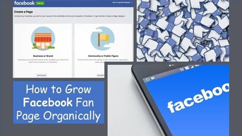 Read more about the article 15 Tips on How to Grow Facebook Fan Page Organically